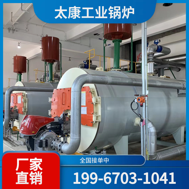 菏泽链条锅炉
